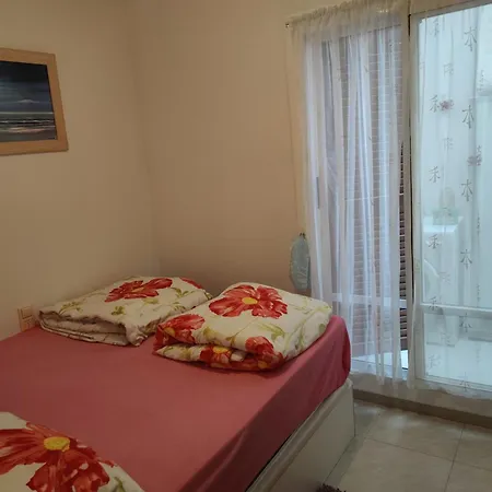 Piotr * 托雷维耶哈